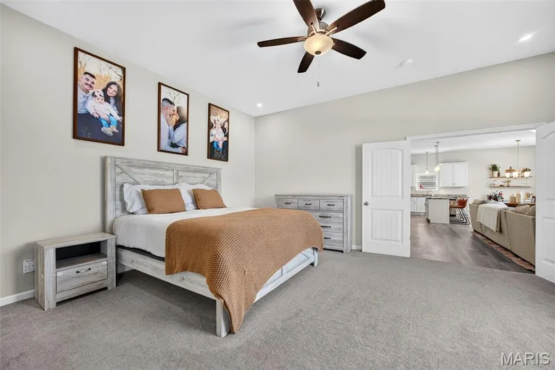 209 W Pine Creek Court, Wentzville, MO 63385 — listing photo 29 of 62