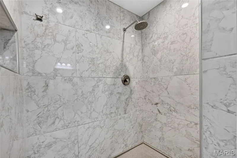 Rehabbed Master Walk-in Shower — 202 Park Ridge Drive #64a, O'Fallon, MO 63366