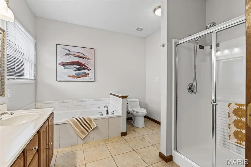 primary bathroom — 195 England Drive, O'Fallon, MO 63366