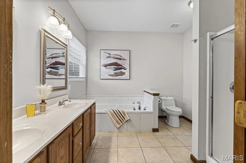 primary bathroom — 195 England Drive, O'Fallon, MO 63366