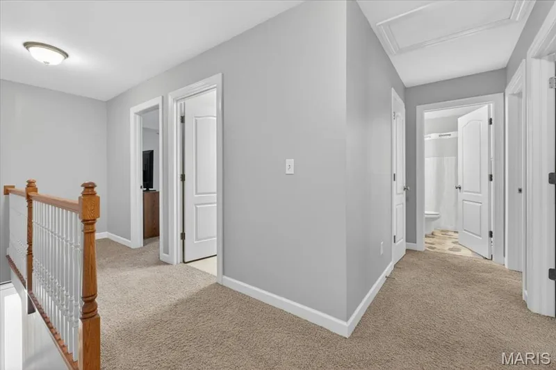 14 Loris Lane, St Charles, MO 63303 — listing photo 17 of 35