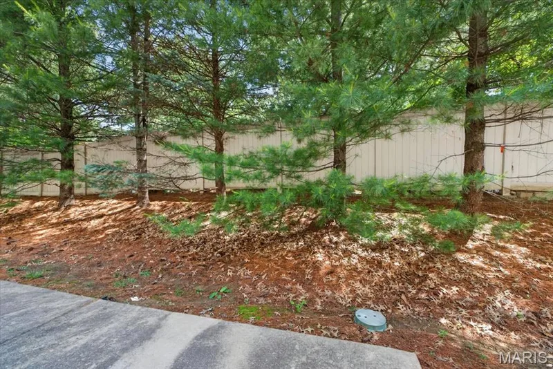 14 Loris Lane, St Charles, MO 63303 — listing photo 30 of 35