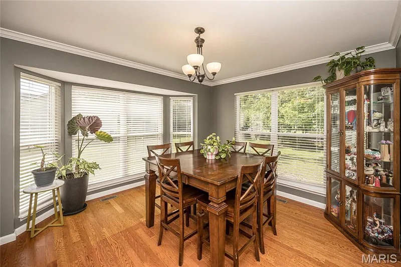 7313 Cinnamon Teal Drive, O'Fallon, MO 63368 — listing photo 21 of 55