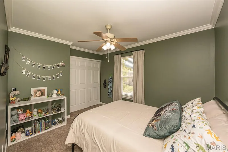 7313 Cinnamon Teal Drive, O'Fallon, MO 63368 — listing photo 31 of 55