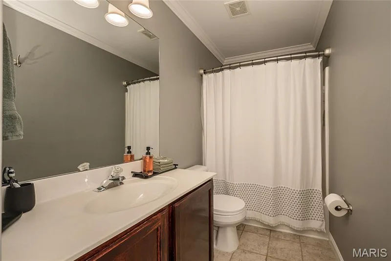 7313 Cinnamon Teal Drive, O'Fallon, MO 63368 — listing photo 35 of 55