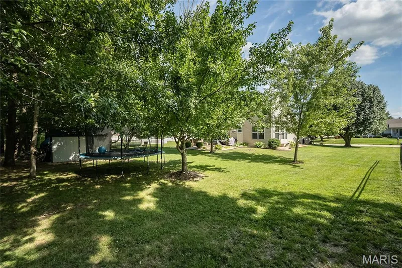 7313 Cinnamon Teal Drive, O'Fallon, MO 63368 — listing photo 50 of 55