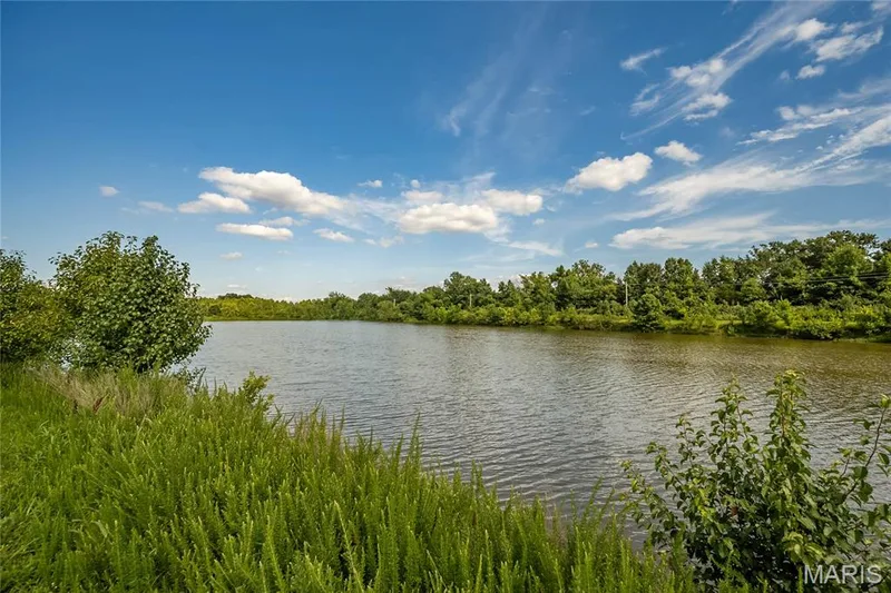 7313 Cinnamon Teal Drive, O'Fallon, MO 63368 — listing photo 53 of 55