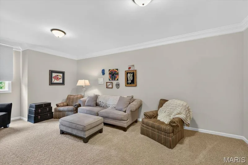 16925 Todd Evan Trail Road, Chesterfield, MO 63005 — listing photo 37 of 82