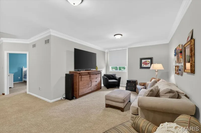 16925 Todd Evan Trail Road, Chesterfield, MO 63005 — listing photo 38 of 82