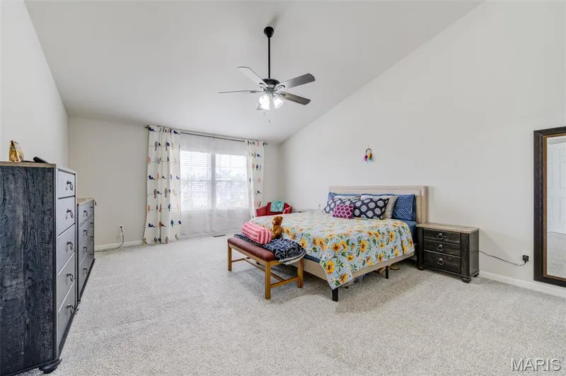 207 Barrington Ridge Lane, Wentzville, MO 63385 — listing photo 23 of 41