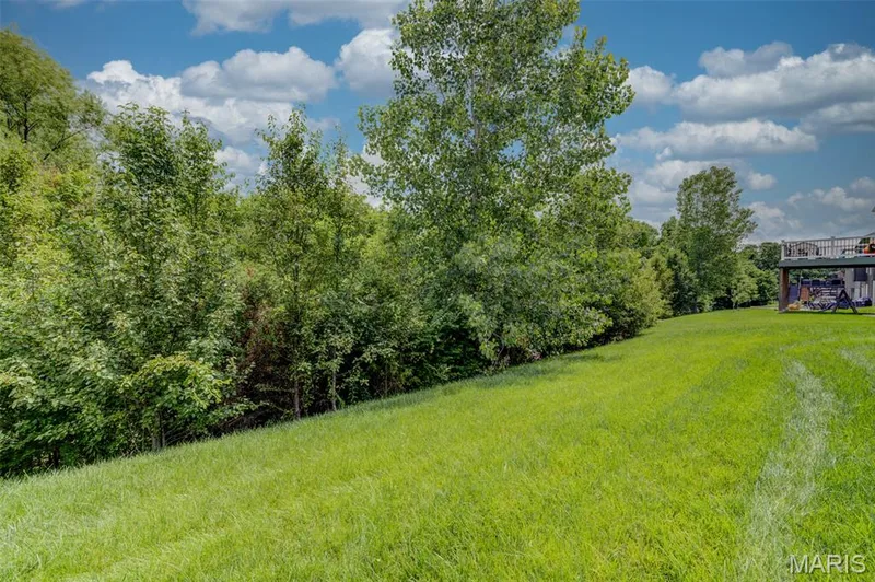 207 Barrington Ridge Lane, Wentzville, MO 63385 — listing photo 38 of 41