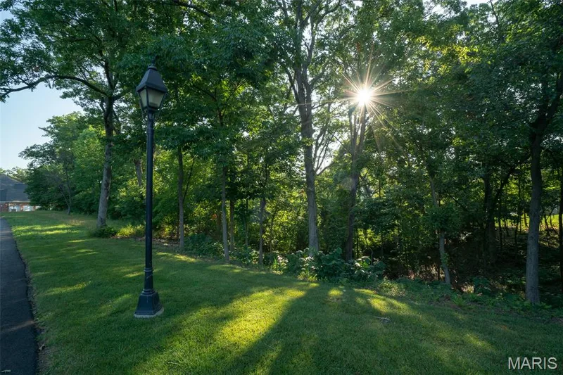 24 TBB Grand Meridien Forest, Wildwood, MO 63005 — listing photo 25 of 35