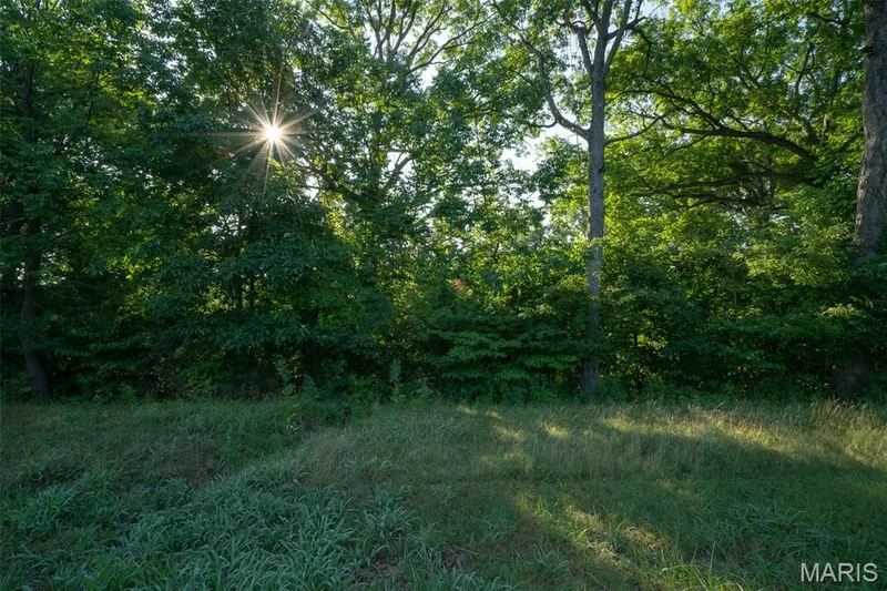 24 TBB Grand Meridien Forest, Wildwood, MO 63005 — listing photo 27 of 35