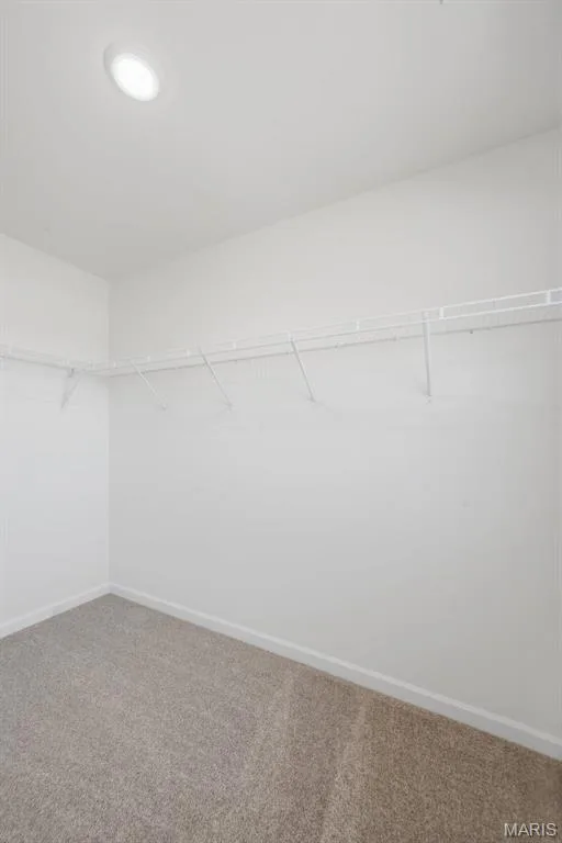 316 Fall Harvest Parkway, Wentzville, MO 63385 — listing photo 22 of 34