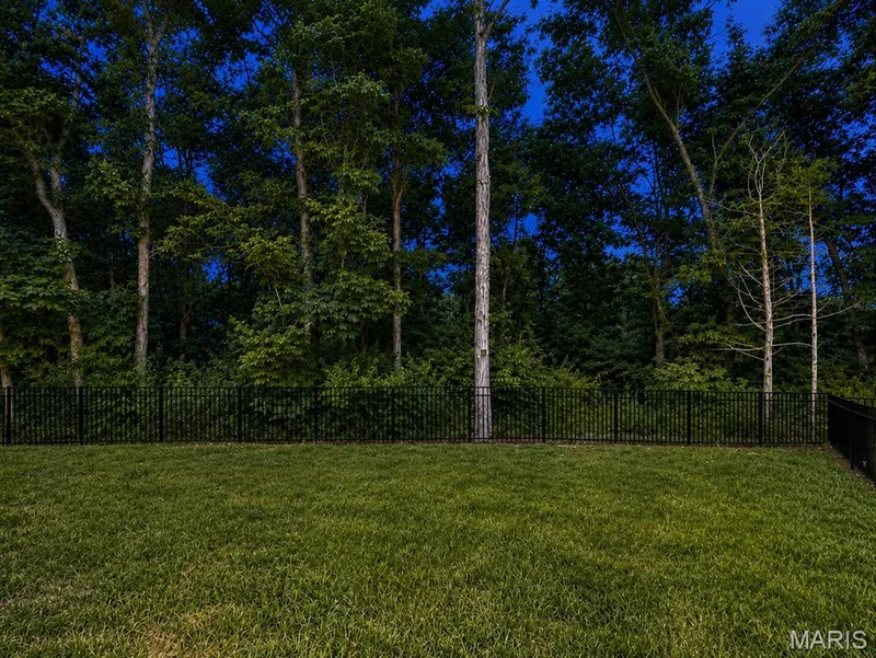 721 Switchgrass Drive, Wentzville, MO 63385 — listing photo 33 of 47