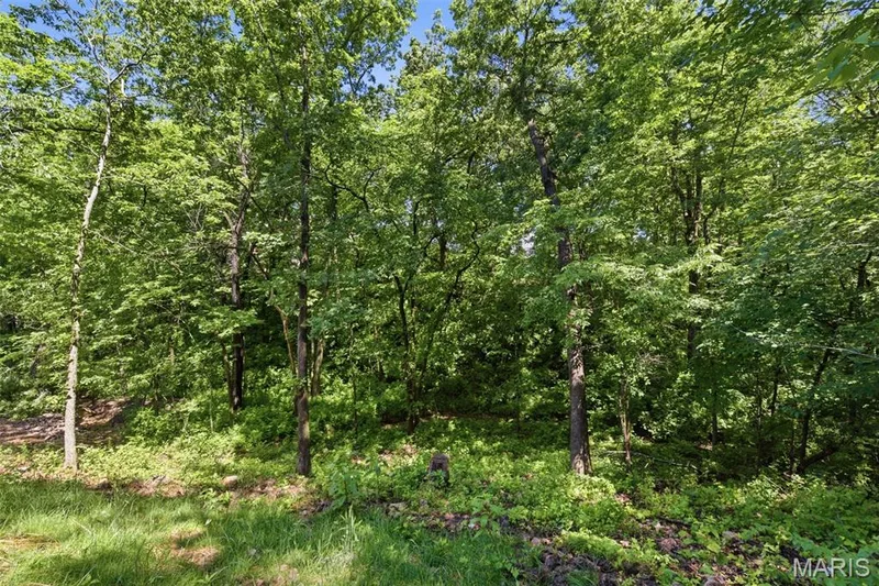 10923 Mahogany Drive, Foristell, MO 63348 — listing photo 42 of 43