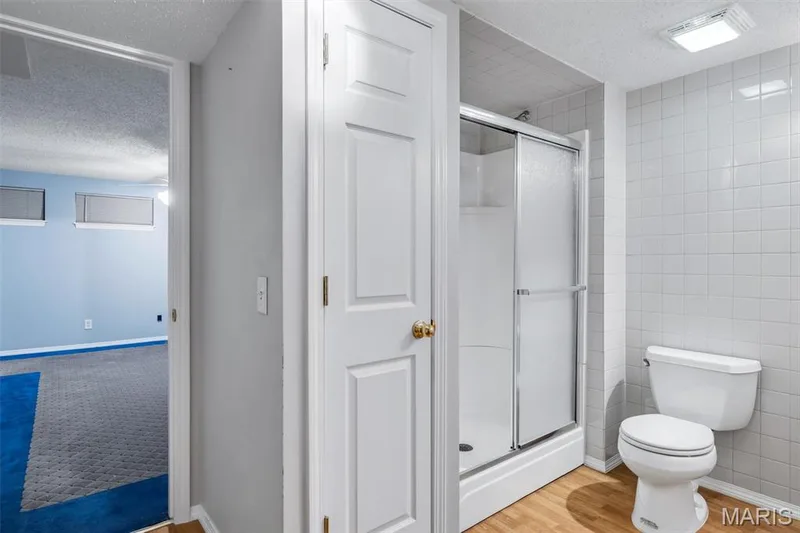 Jack & Jill bath in basement — 1290 Summer Lynne Drive, O'Fallon, MO 63366