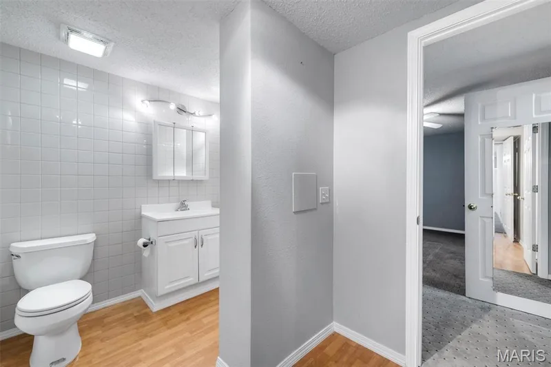 Jack & Jill bath in basement — 1290 Summer Lynne Drive, O'Fallon, MO 63366