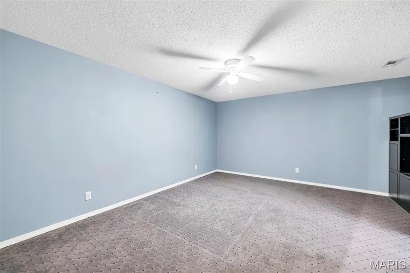 1290 Summer Lynne Drive, O'Fallon, MO 63366 — listing photo 36 of 49