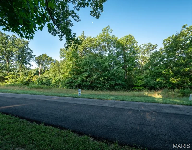 31 TBB Grand Meridien Court, Wildwood, MO 63005 — listing photo 20 of 31