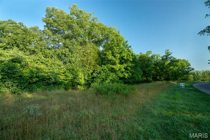 31 TBB Grand Meridien Court, Wildwood, MO 63005 — listing photo 21 of 31