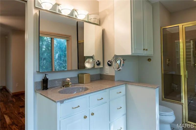 258 Ridge Trail Drive, Chesterfield, MO 63017 — listing photo 28 of 37