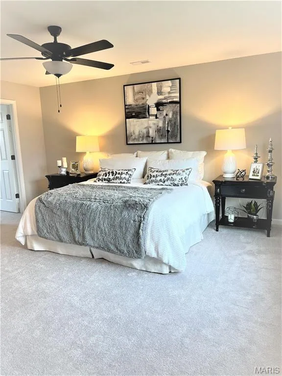 231 Burrograss Drive, Wentzville, MO 63385 — listing photo 20 of 31