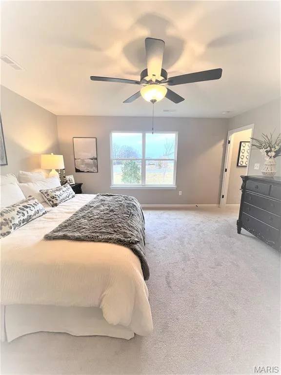 231 Burrograss Drive, Wentzville, MO 63385 — listing photo 21 of 31
