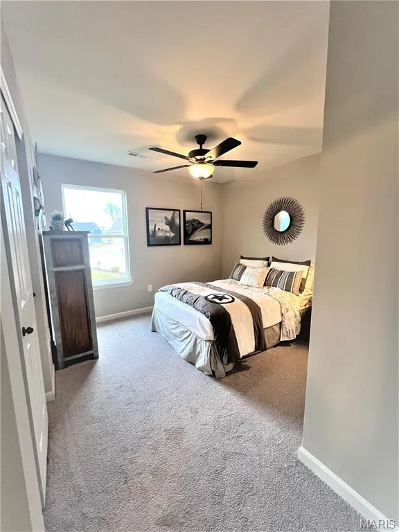 231 Burrograss Drive, Wentzville, MO 63385 — listing photo 22 of 31