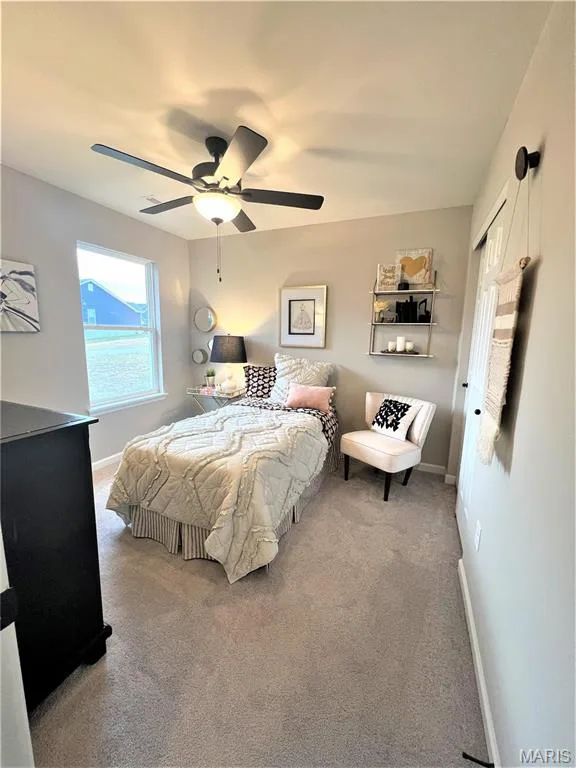 231 Burrograss Drive, Wentzville, MO 63385 — listing photo 23 of 31