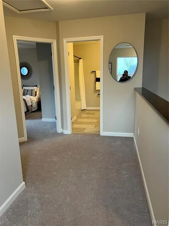231 Burrograss Drive, Wentzville, MO 63385 — listing photo 31 of 31