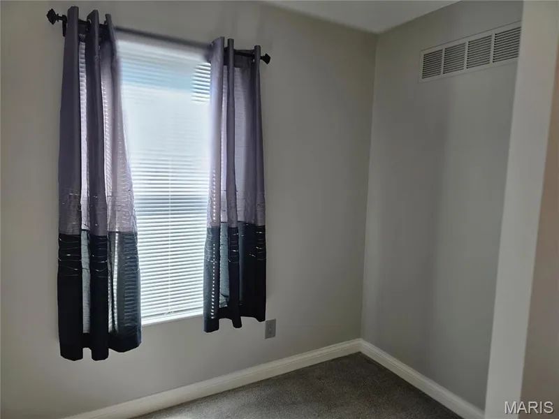 Light-toned wall finishes — 115 Carriage View Drive, Wildwood, MO 63040