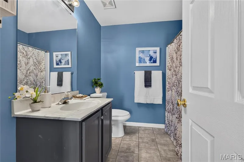 10 Homefield Gardens Drive #17N, O'Fallon, MO 63366 — listing photo 17 of 48