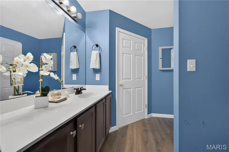 10 Homefield Gardens Drive #17N, O'Fallon, MO 63366 — listing photo 24 of 48