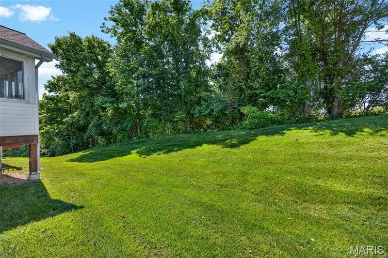 1317 Pine Bluff Drive, St Charles, MO 63304 — listing photo 9 of 42