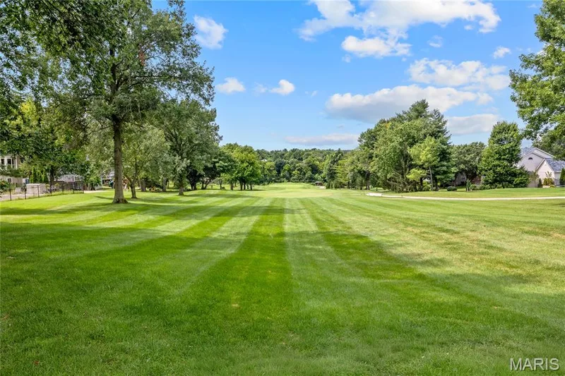 63 Leinster Hill Lane, Weldon Spring, MO 63304 — listing photo 7 of 40