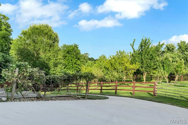 Fruit Trees — 17 West Drive, Chesterfield, MO 63017