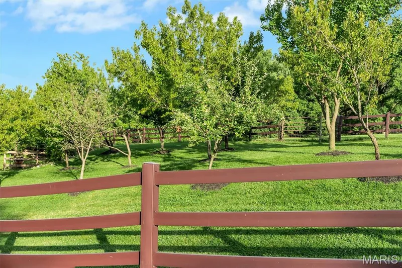 Fruit Trees — 17 West Drive, Chesterfield, MO 63017