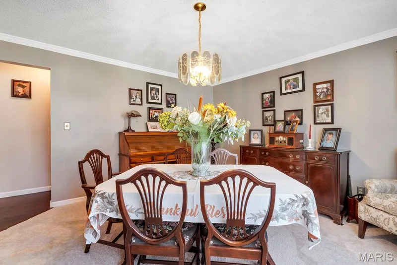 1135 Common Field Street, Portage Des Sioux, MO 63373 — listing photo 5 of 54