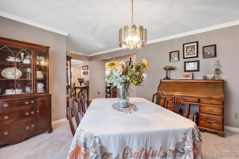 1135 Common Field Street, Portage Des Sioux, MO 63373 — listing photo 6 of 54