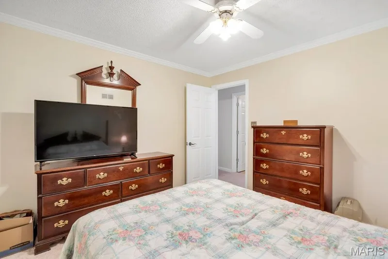 1135 Common Field Street, Portage Des Sioux, MO 63373 — listing photo 22 of 54