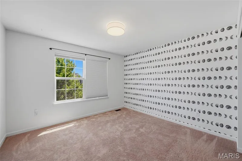 211 Pearl Vista Drive, O'Fallon, MO 63366 — listing photo 40 of 48