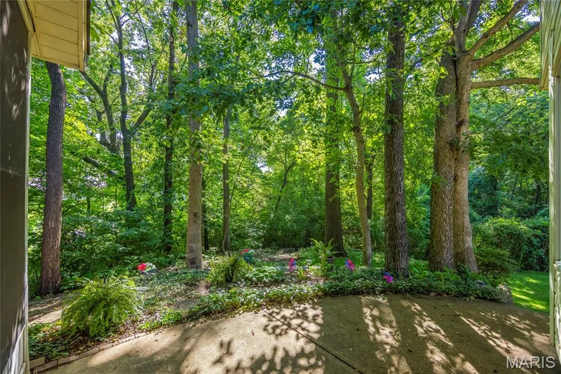 1148 Black Forest Drive, St Charles, MO 63301 — listing photo 35 of 40