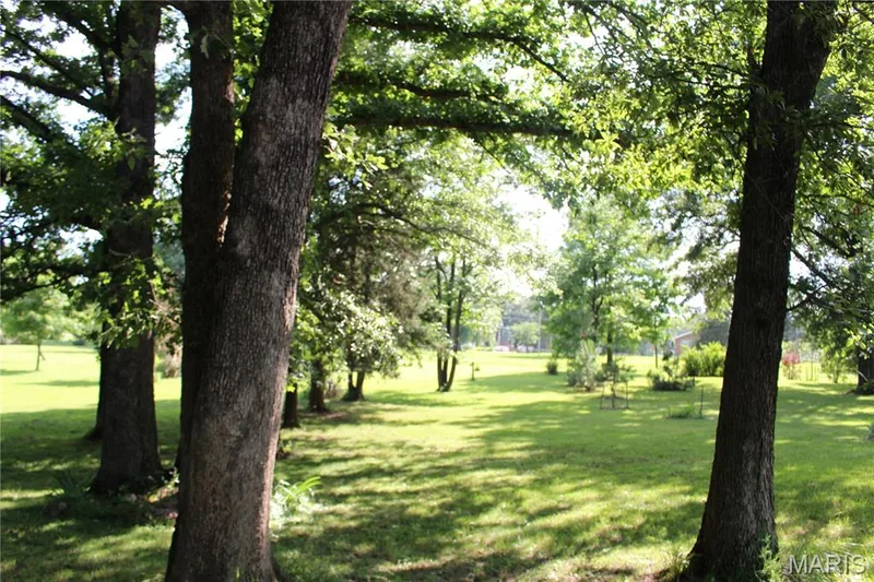 Beautiful, secluded front yard! — 3877 Highway D, Defiance, MO 63341