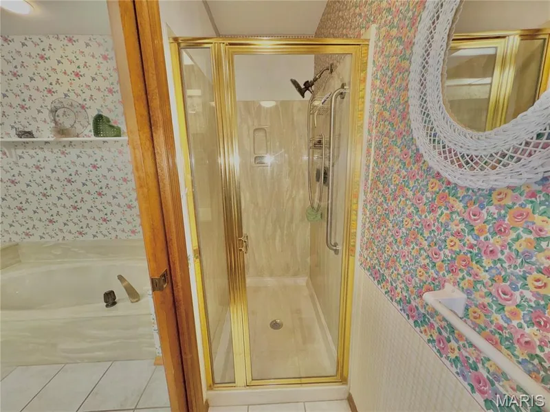Separate Shower — 15803 Harris Ridge Court, Chesterfield, MO 63017
