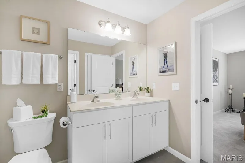 215 Cambium Court, Wentzville, MO 63385 — listing photo 23 of 42
