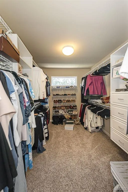 306 Magnolia Valley Drive, O'Fallon, MO 63366 — listing photo 39 of 69