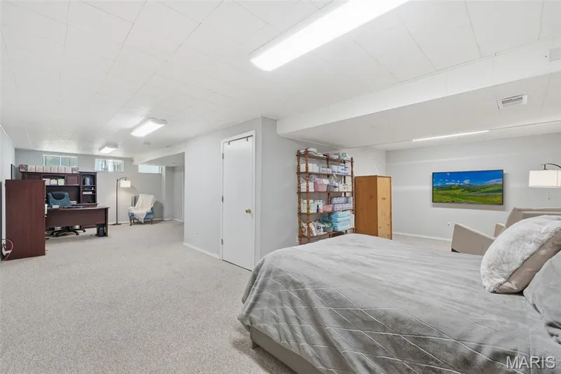 Spacious lower-level room featuring light gray carpeting and a white acoustic ceiling — 2510 Balaji Court, Wildwood, MO 63011