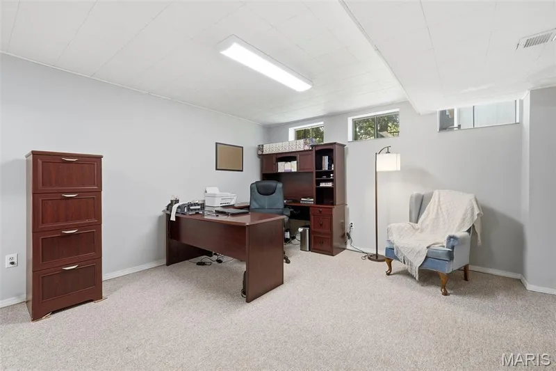 Carpeted room with light gray walls and a drop-panel ceiling — 2510 Balaji Court, Wildwood, MO 63011