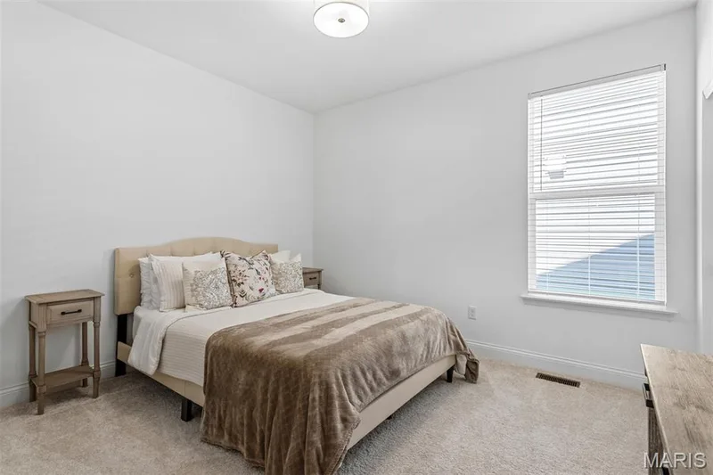 228 Randlin Drive, O'Fallon, MO 63367 — listing photo 35 of 50